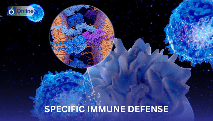 Lesson 10: Specific Immune Defense